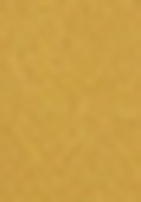 Golden Embellished Georgette Pre Draped Saree Set