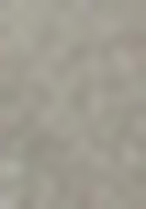 Golden Embellished Georgette Pre Draped Saree Set