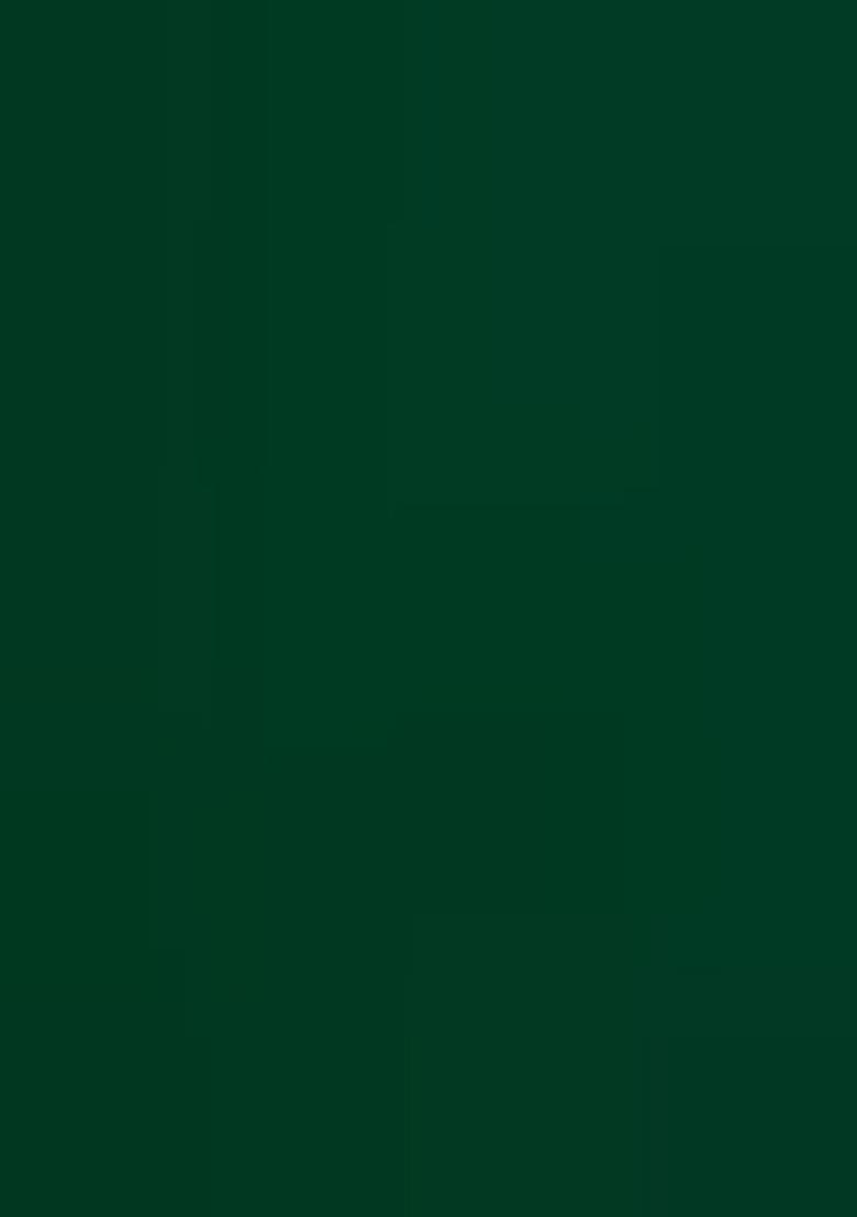 Green Embroidered Georgette Pre Draped Saree Set