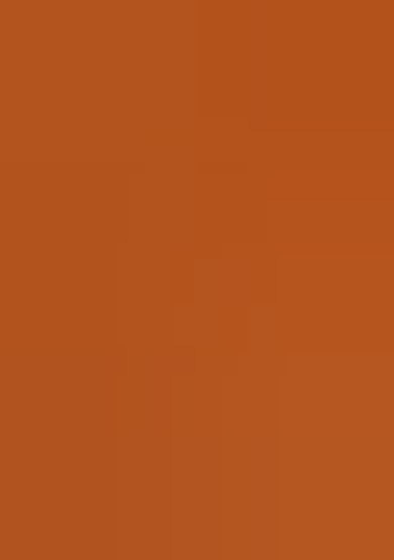 Multicolor Printed Pre Draped Saree Set