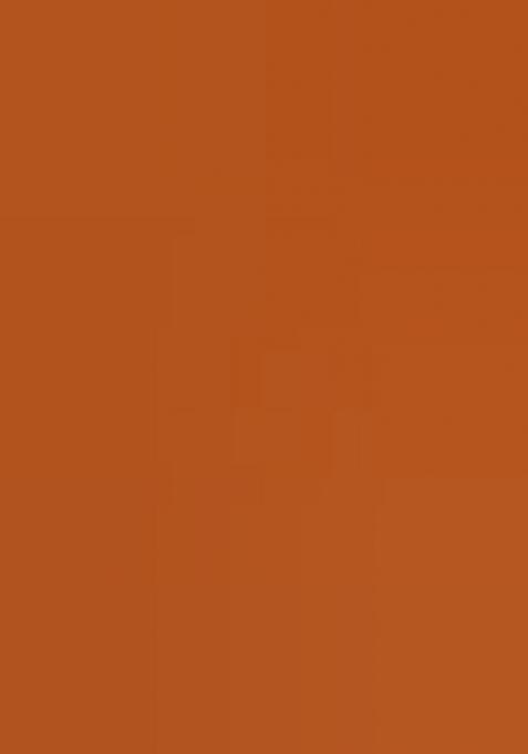 Multicolor Printed Pre Draped Saree Set