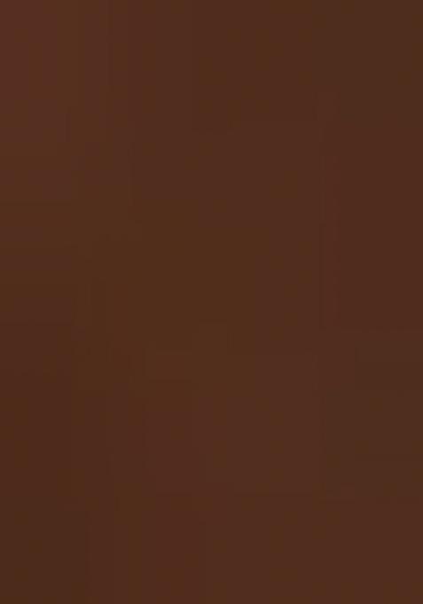 Brown Floral Print Satin Pre Draped Saree Set