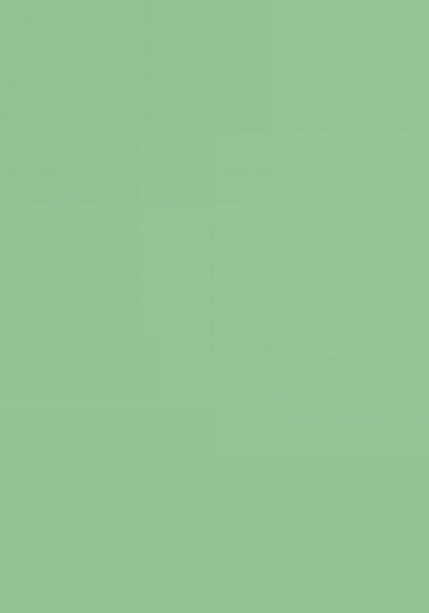 Green Floral Print Georgette Pre Draped Saree Set