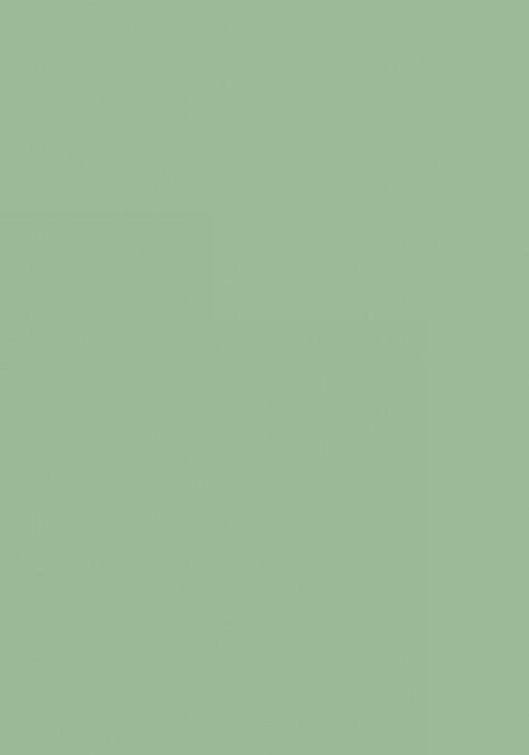 Green Floral Print Georgette Pre Draped Saree Set