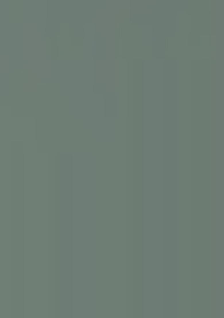 Multicolor Net Sequin Pre Draped Saree Set