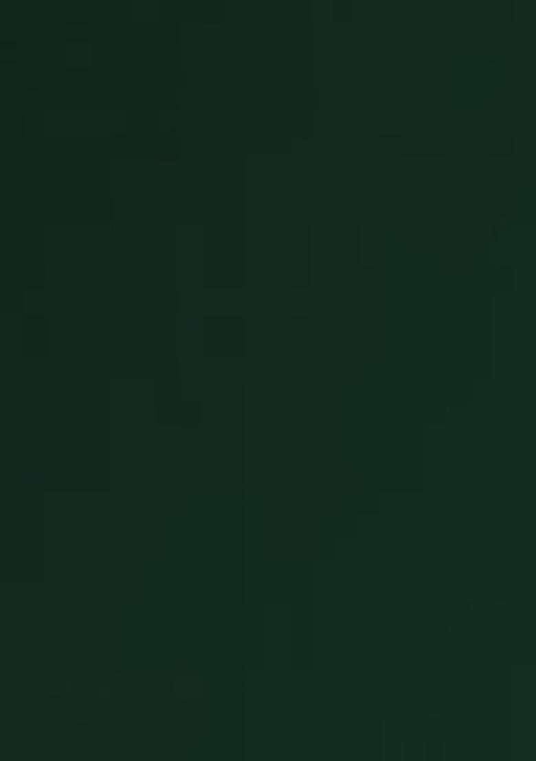 Green Net Sequin Pre Draped Saree Set