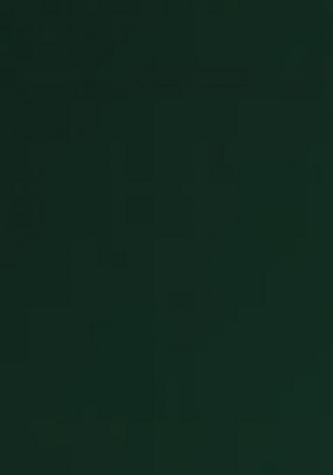 Green Net Sequin Pre Draped Saree Set