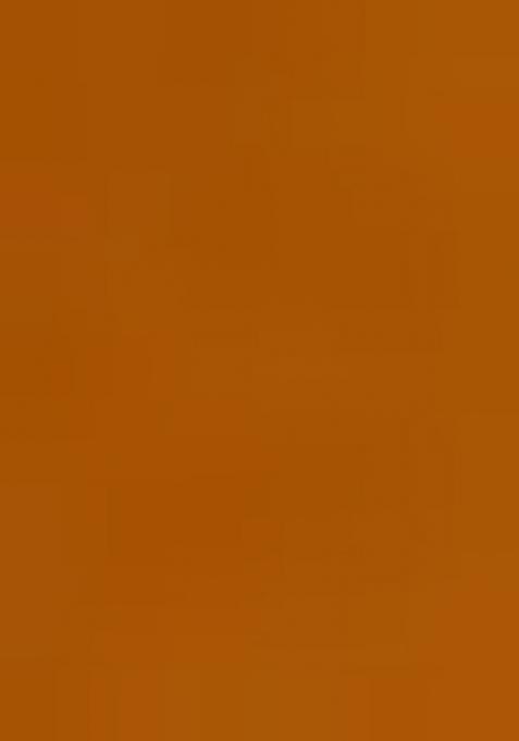 Mustard Yellow Net Embellished Blouse Pre Draped Saree Set