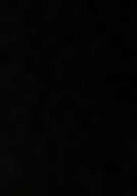 Black Net Sequin Embellished Pre Draped Saree Set