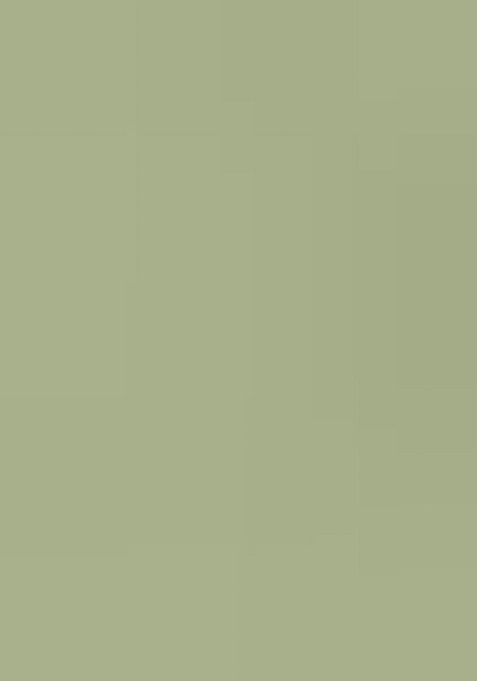 Green Floral Print Satin Pre Draped Saree Set