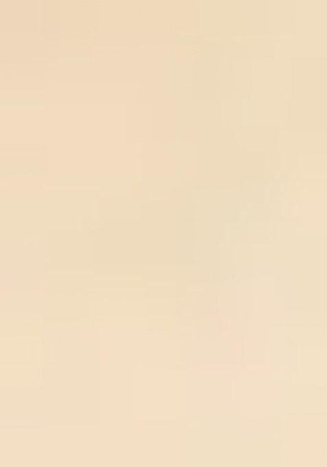 White Floral Print Satin Pre Draped Saree Set