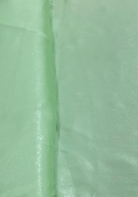 Mint Green Crepe Pre Draped Saree Set