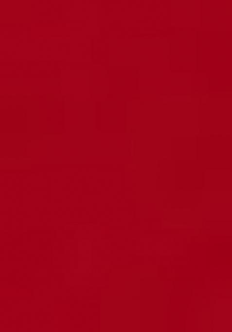 Redembroidered Blouse Georgette Pre Draped Saree Set