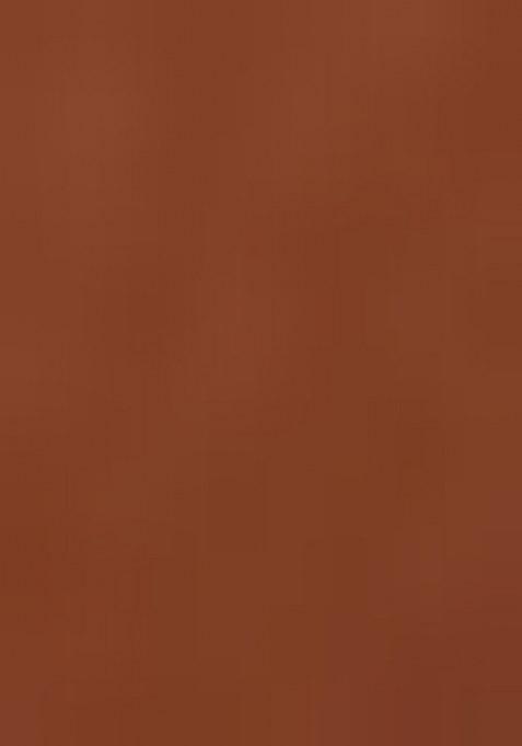 Brown Floral Printed Chiffon Pre Draped Saree Set