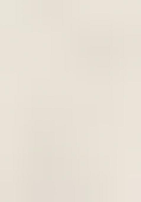 Off White Printed Embroidered Georgette Pre Draped Saree Set