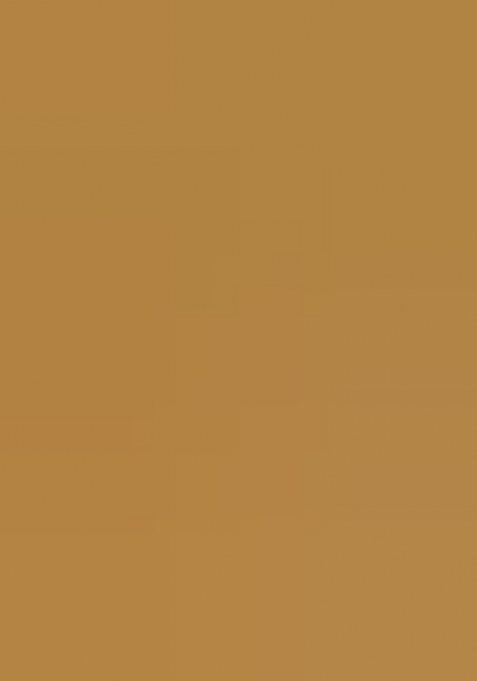 Yellow Printed Embroidered Georgette Pre Draped Saree Set