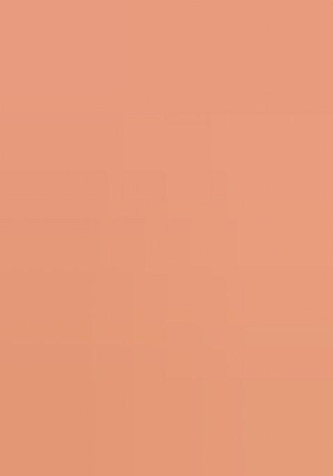 Peach Printed Embroidered Georgette Pre Draped Saree Set