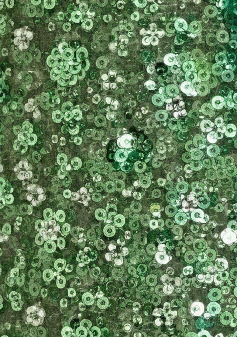 Green Embroidered Net Pre Draped Saree Set for Diwali and Festive Wear - Indya