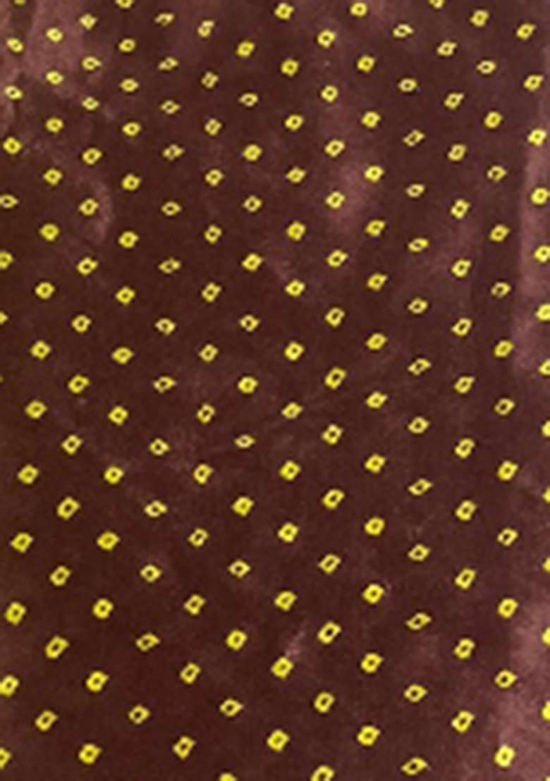 Brown Printed Orgenza Pre Draped Saree Set - Indya