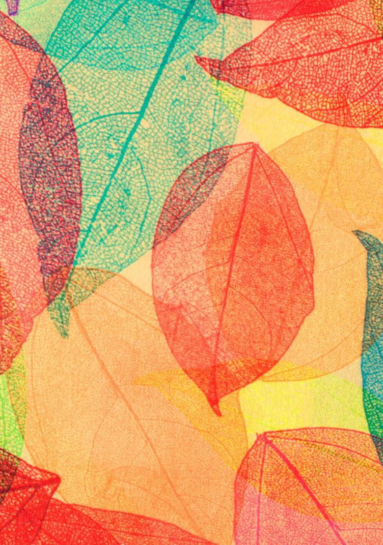 Orange Floral Print Satin Pre Draped Saree Set - Indya