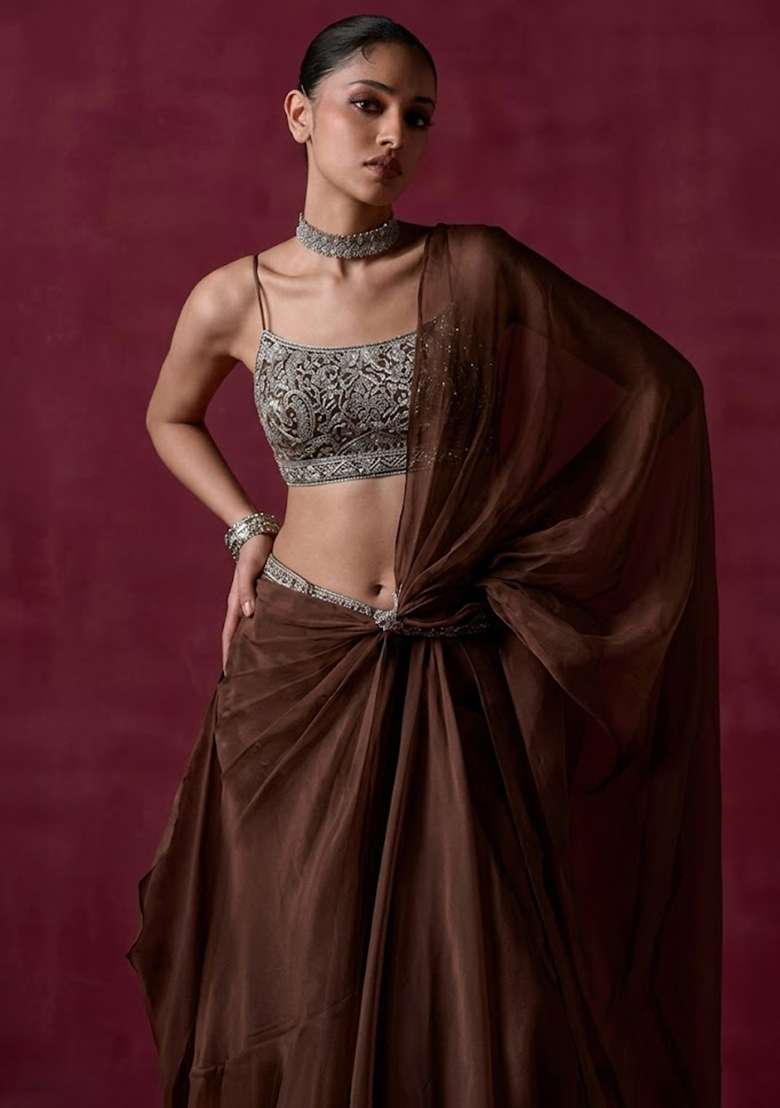 Chocolate Brown Organza Handwork Pre Draped Saree Set - Indya