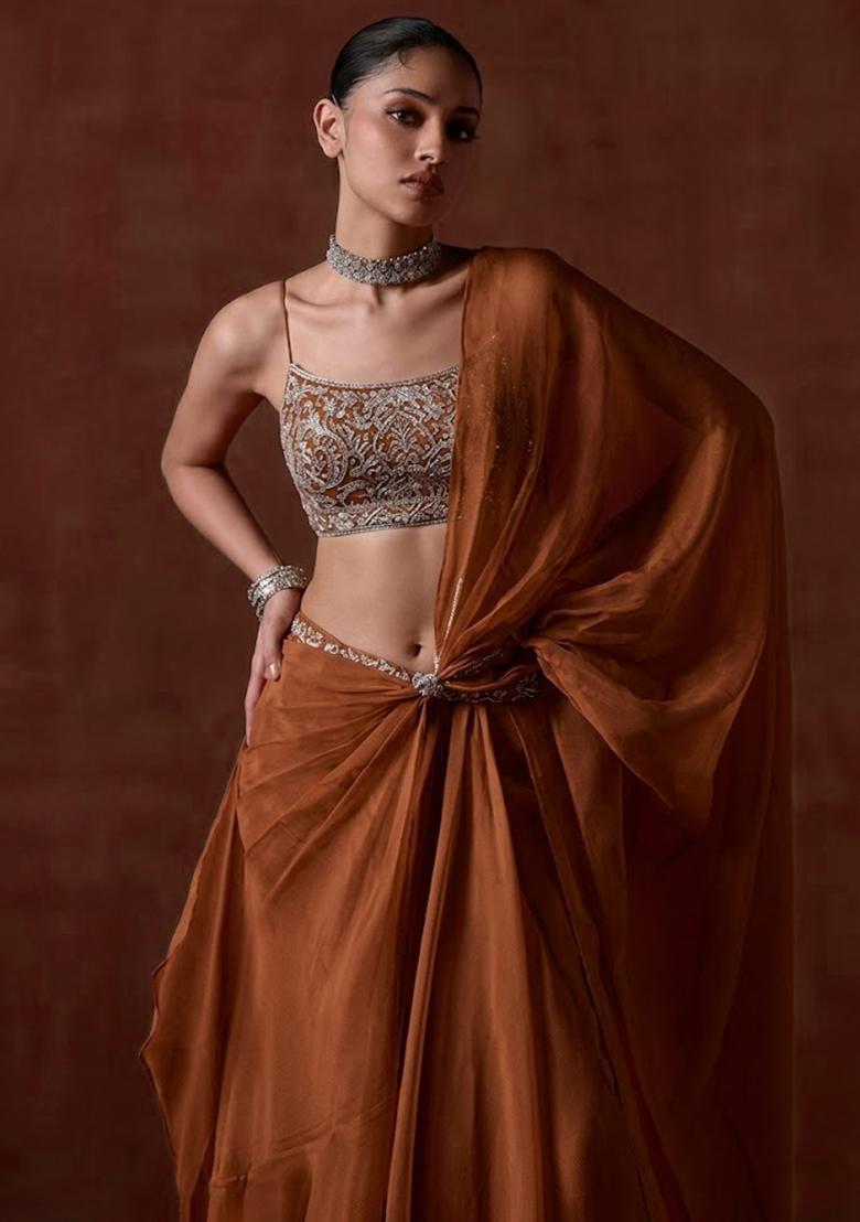 Burnt Orange Organza Handwork Pre Draped Saree Set - Indya