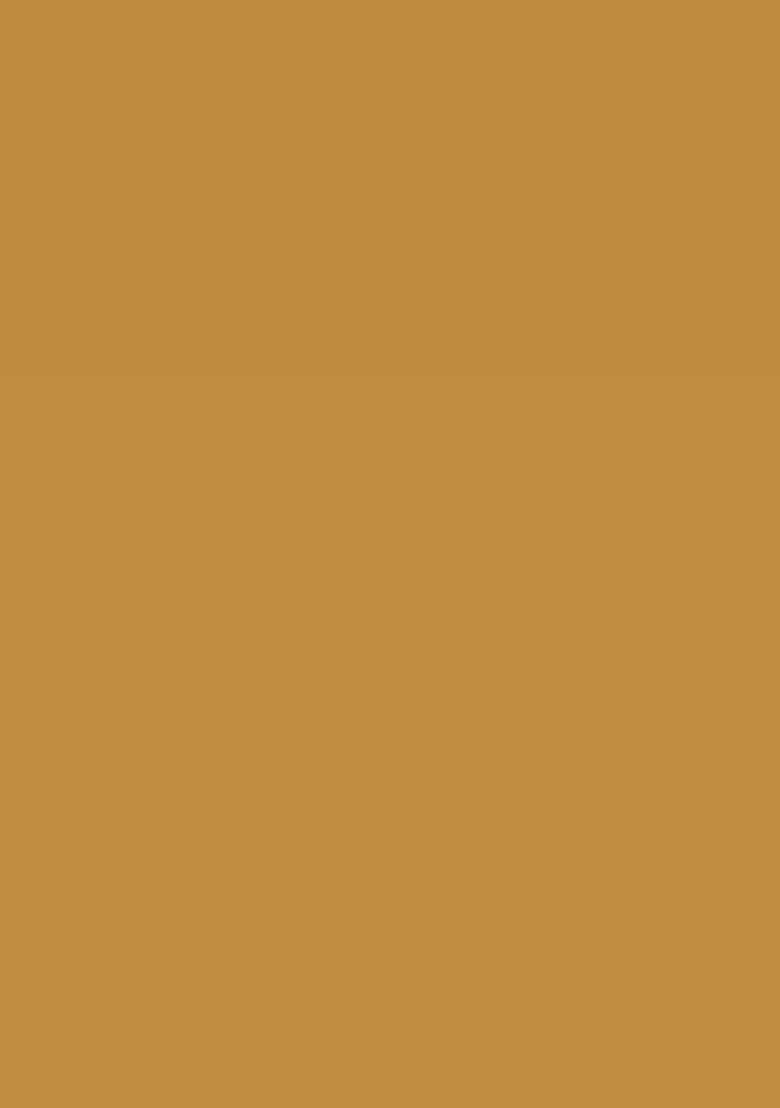 Gold Georgette Handwork Pre Draped Saree Set - Indya
