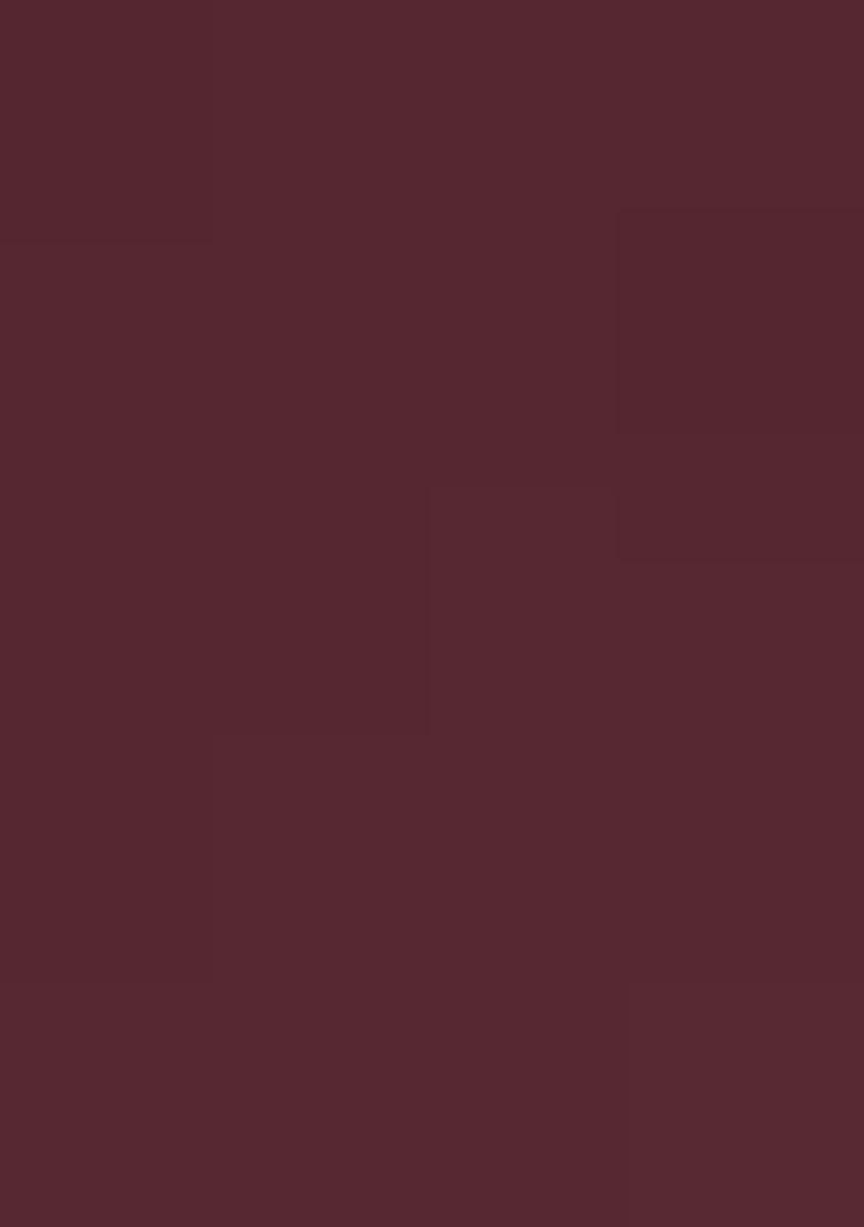 Mauve Organza Handwork Pre Draped Saree Set - Indya