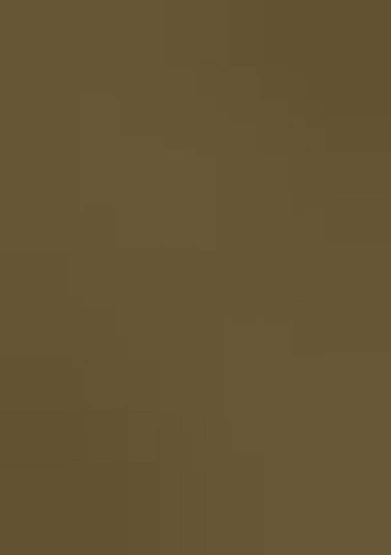Light Green Hand Work Embellished Chinon Pre Draped Saree Set - Indya