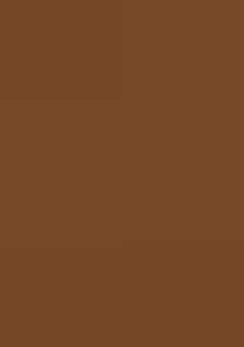 Brown Hand Work Embellished Georgette Pre Draped Saree Set - Indya