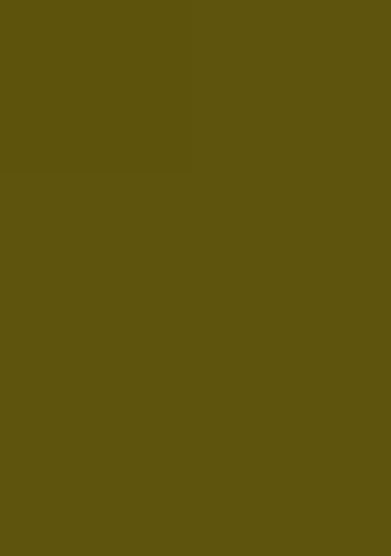 Olive Green Crepe Handwork Pre Draped Saree Set - Indya