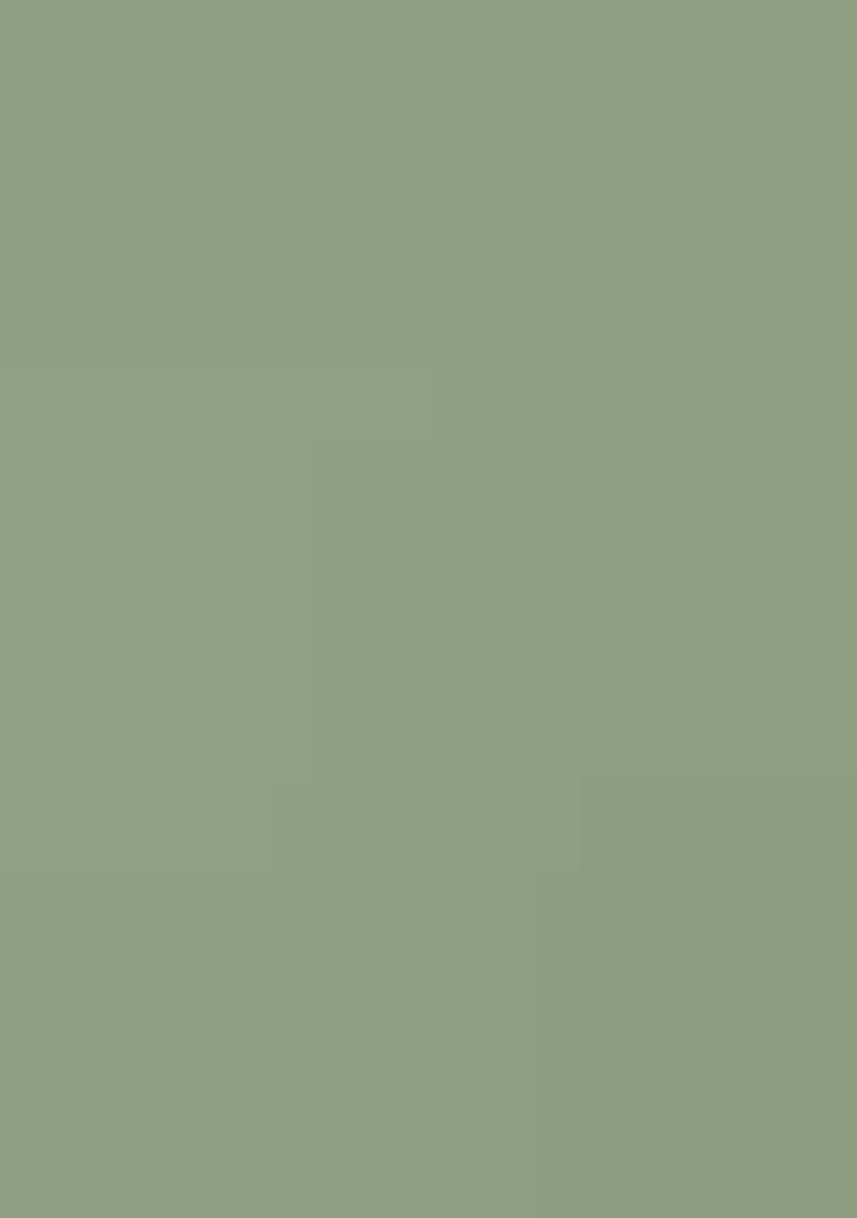 Sage Green Georgette Handwork Pre Draped Saree Set - Indya