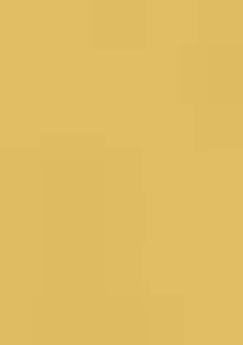 Beige Georgette Handwork Pre Draped Saree Set - Indya