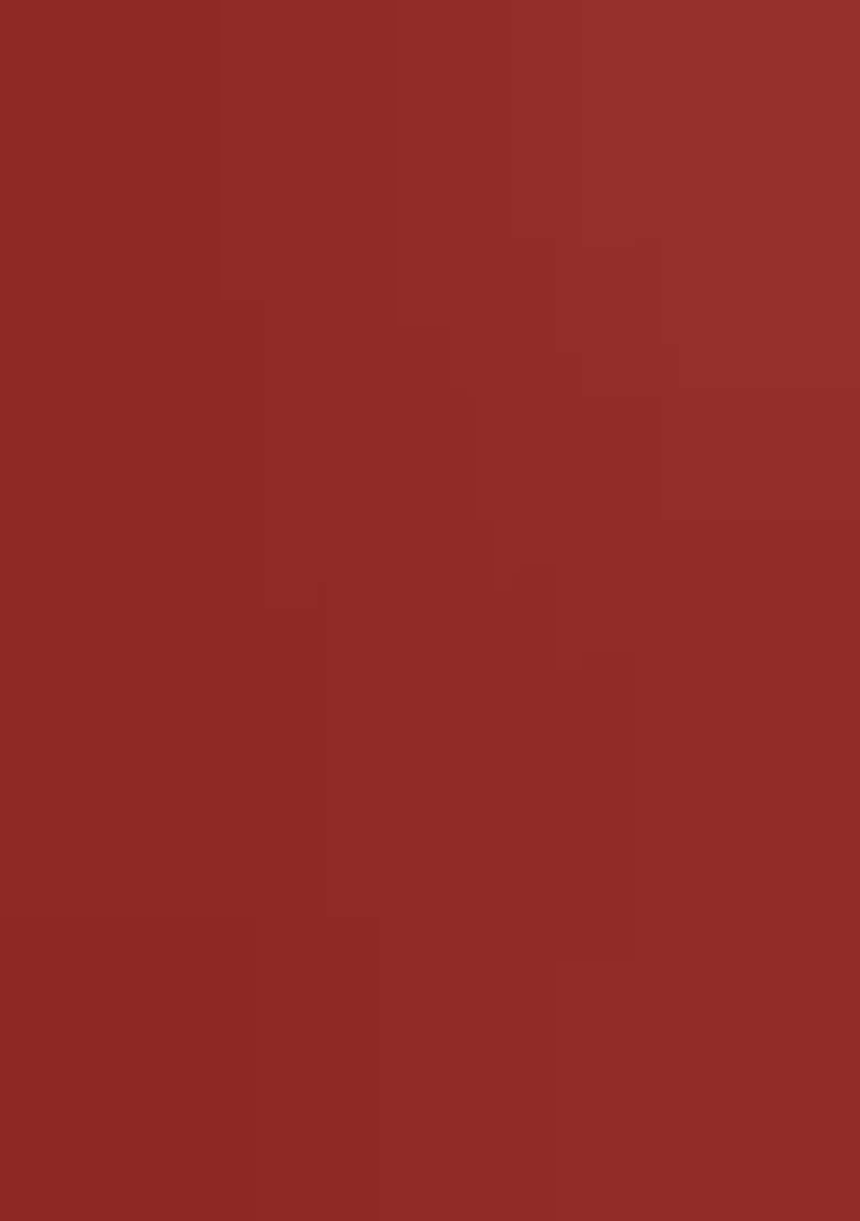 Brick Red Georgette Embellished Handwork Pre Draped Saree Set - Indya