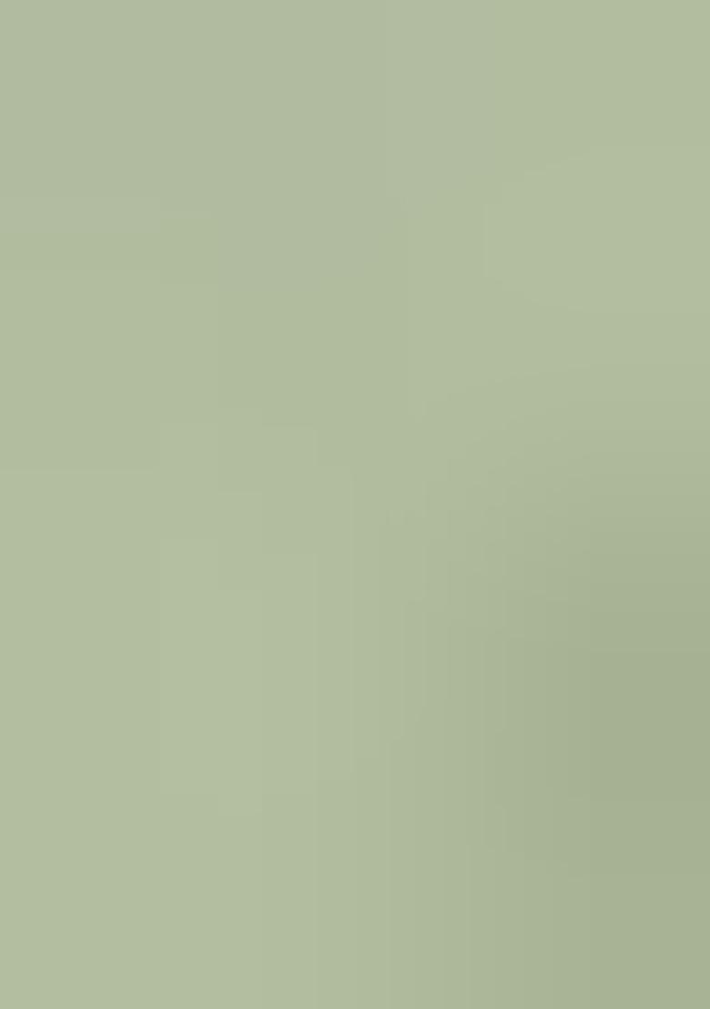 Pastel Green Embroidered Handwork  Pre Draped Saree Set - Indya