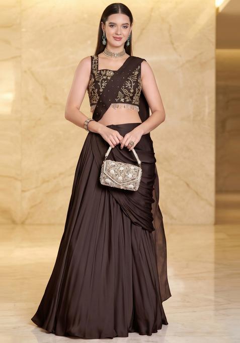 Deep Brown Embroidered Handwork Pre Draped Saree Set