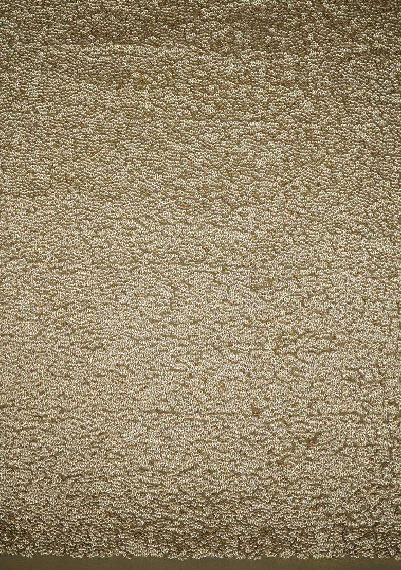 Light Brown Georgette Pre Draped Saree Set with Sequin for Diwali | Wedding & Festive Wear - Indya