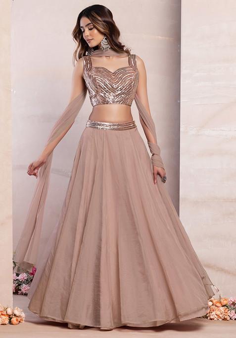 Blush Pink Organza Lehenga Set With Sequin Embroidered Blouse And Mesh Dupatta
