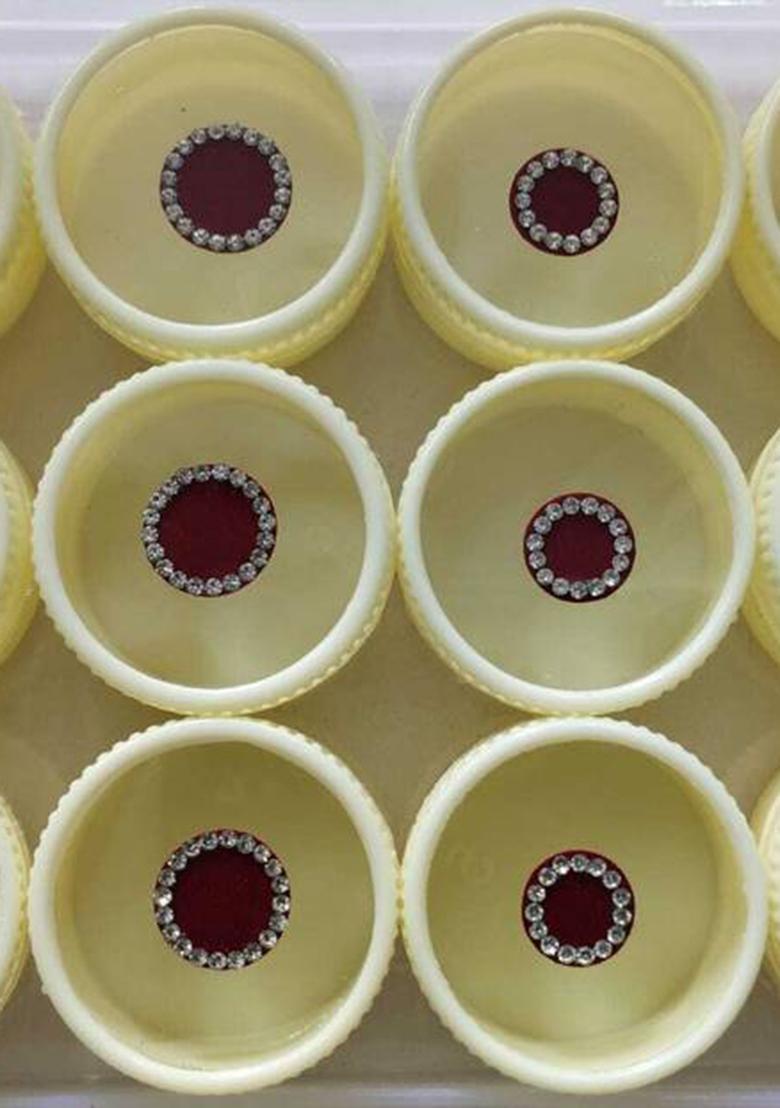 Maroon Designer Bindi Set - Indya