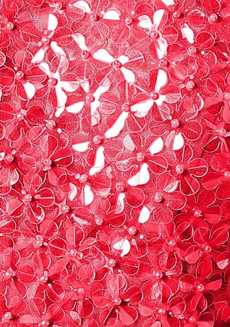 Red Palazzo Set With Hand Embroidered Blouse And Dupatta