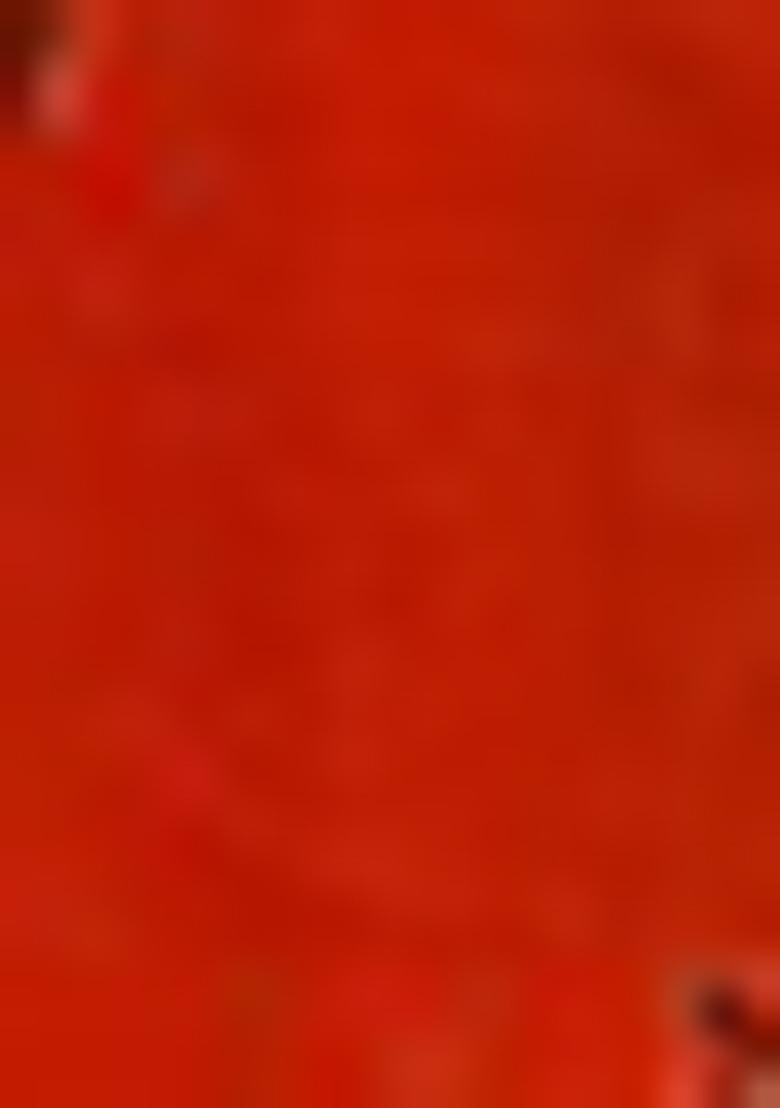 Coral Jacket Set With Hand Embroidered Blouse And Skirt