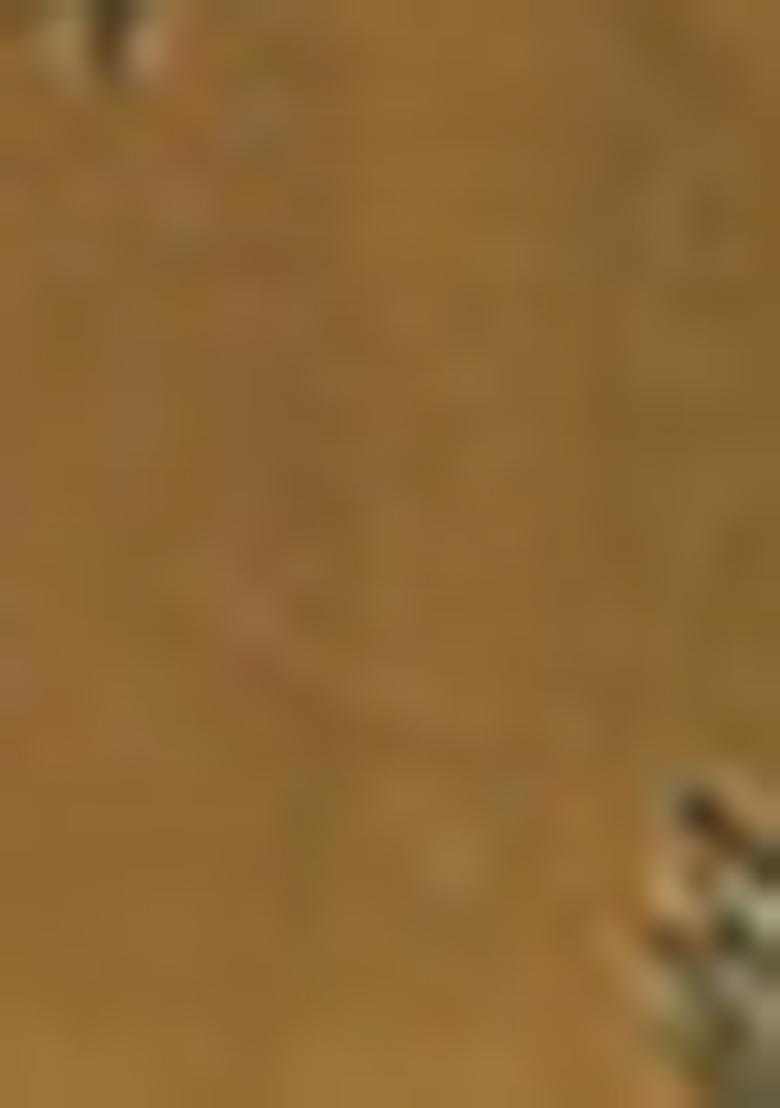 Beige Jacket Set With Hand Embroidered Blouse And Skirt