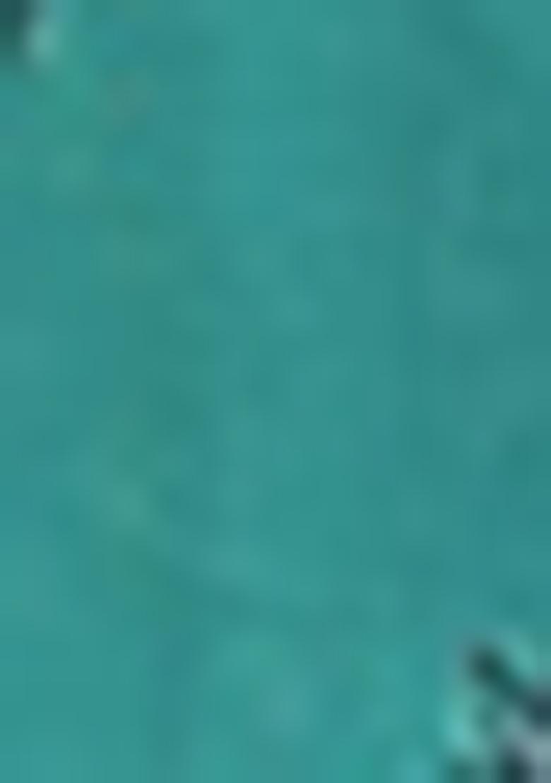 Blue Jacket Set With Hand Embroidered Blouse And Skirt