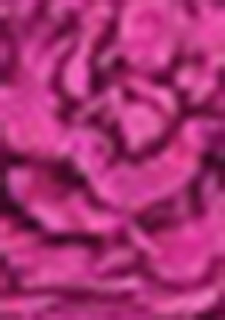 Purple Jacket Set With Hand Embroidered Blouse And Pants