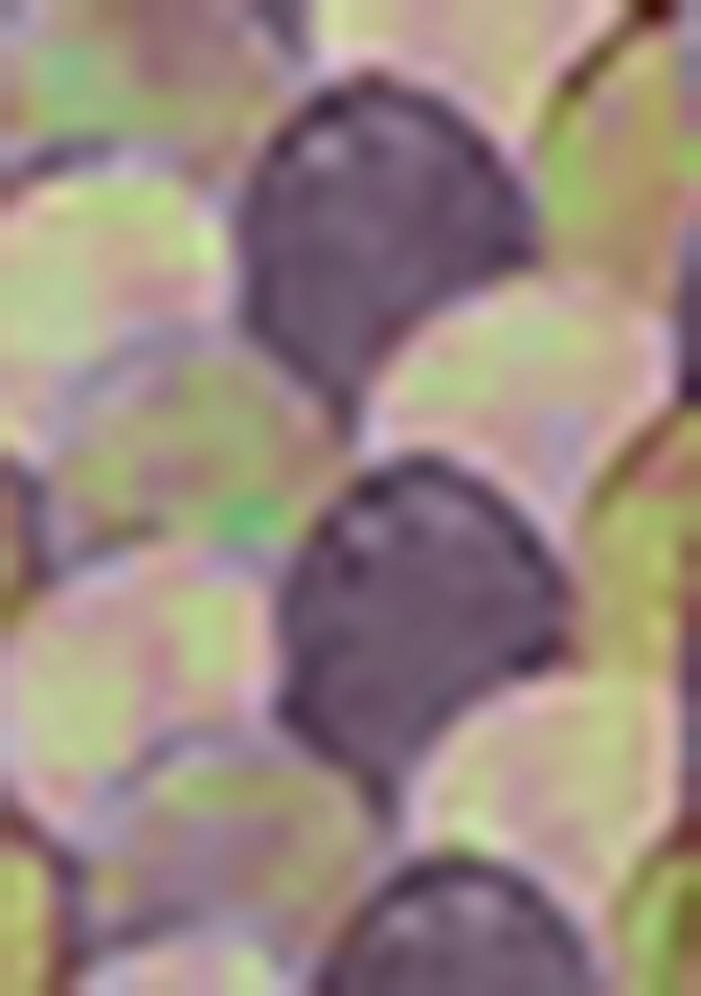 Purple Jacket Set With Hand Embroidered Blouse And Palazzo