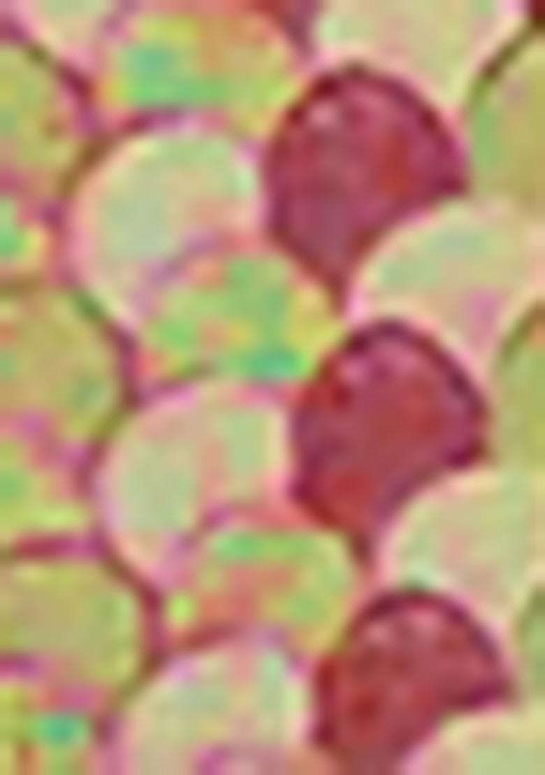 Pink Jacket Set With Hand Embroidered Blouse And Palazzo