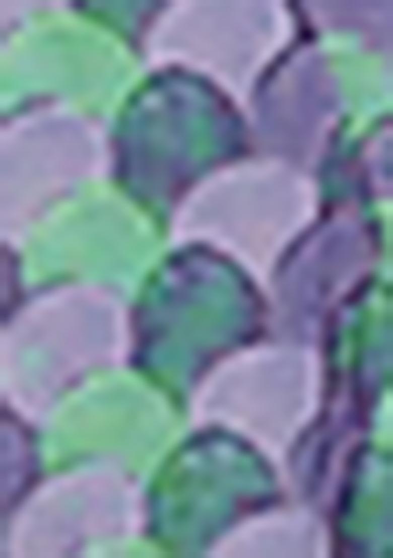 Blue Jacket Set With Hand Embroidered Blouse And Palazzo