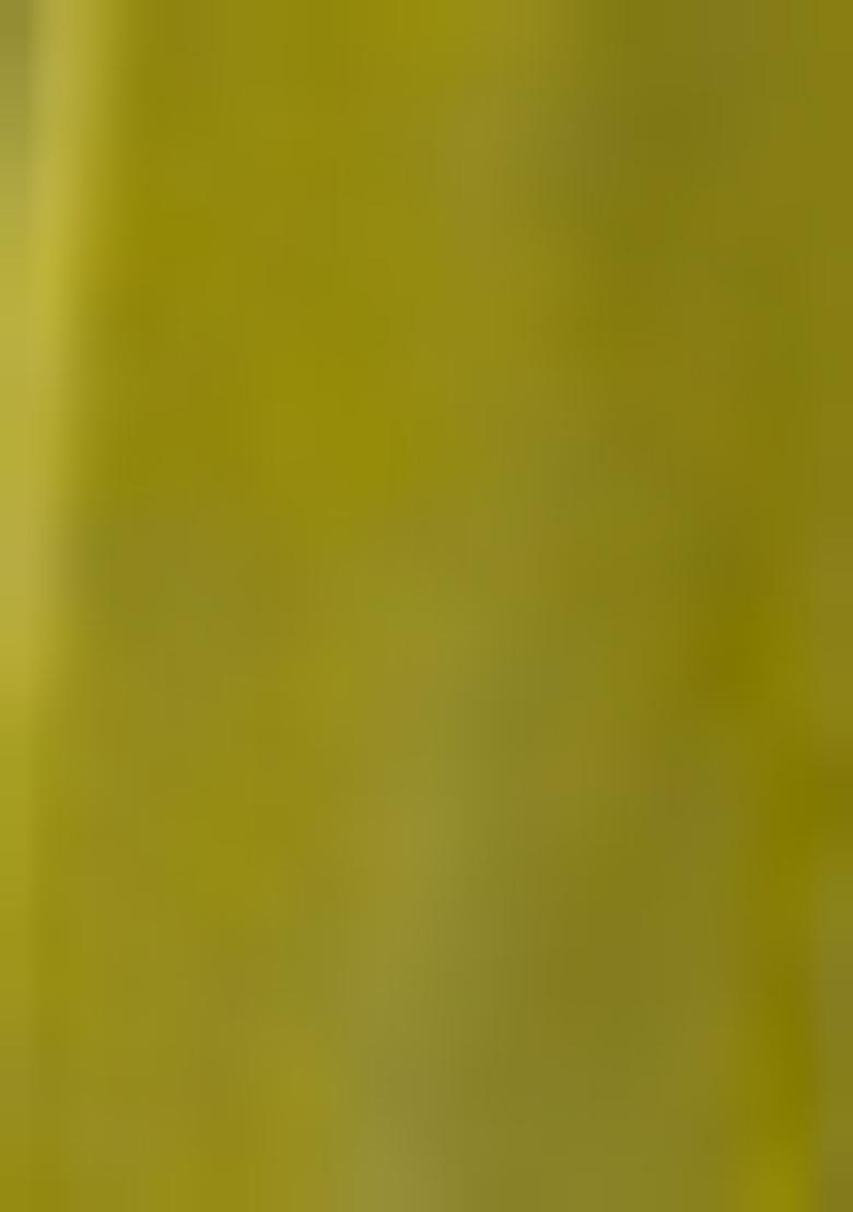 Green Jacket Set With Hand Embroidered Blouse And Sharara