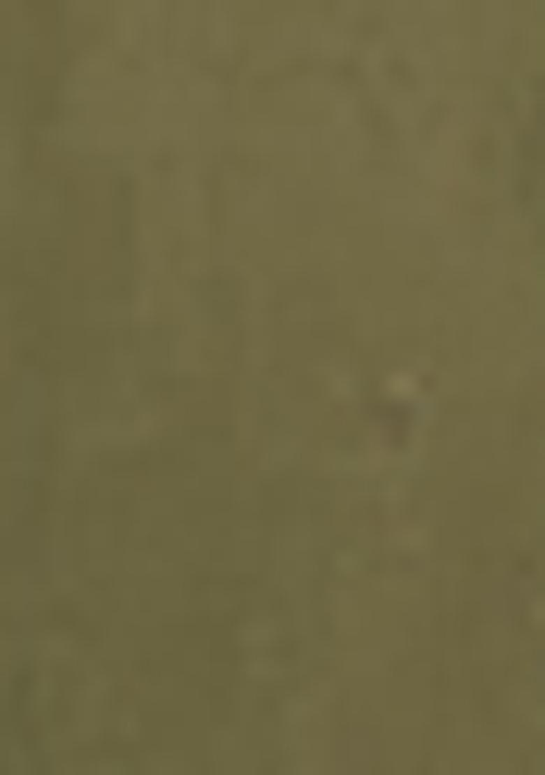 Olive Green Skirt Set With Hand Embroidered Blouse And Dupatta