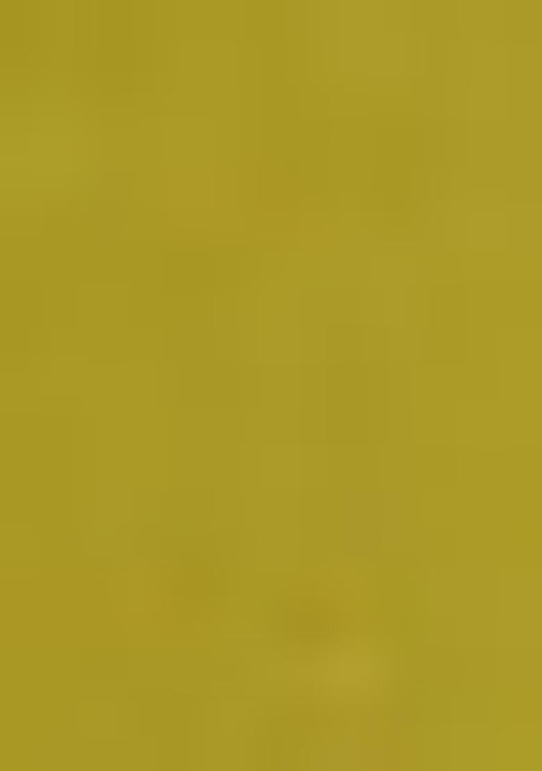 Green Jacket And Hand Embroidered Blouse Set With Palazzo And Belt